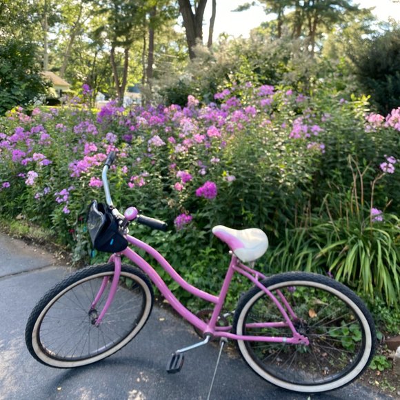 Meet your Posher, Roseann - Picture 3 of 4